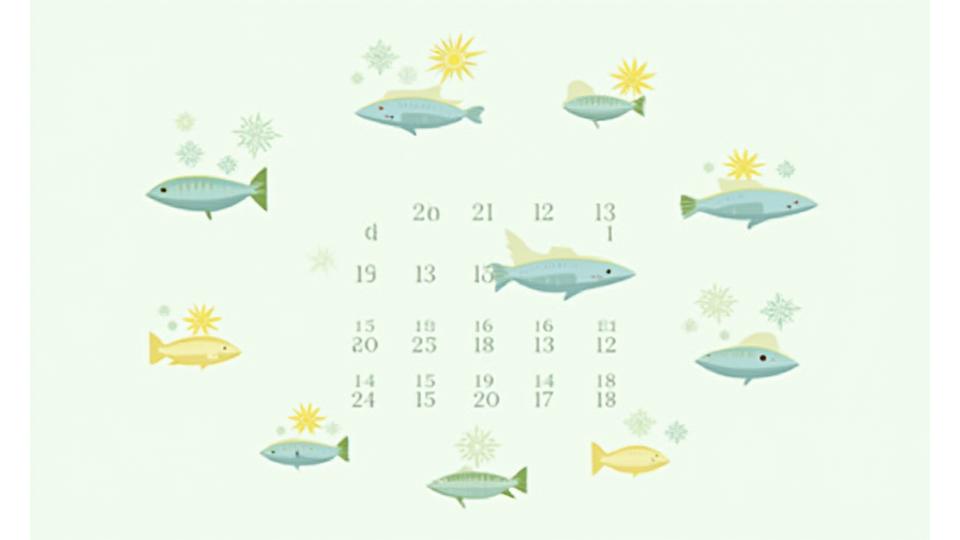 Angelsaison Kalender mit Fisch-Icons für jeden Monat