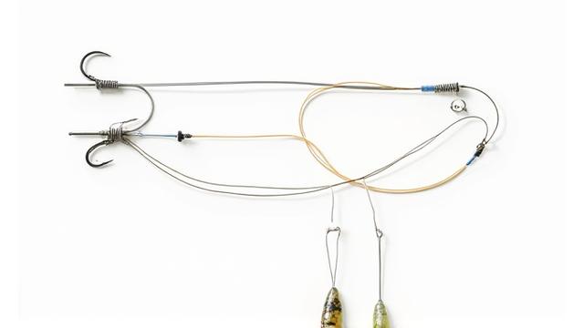 Illustration eines Drop Shot Rigs mit Köder und Gewicht